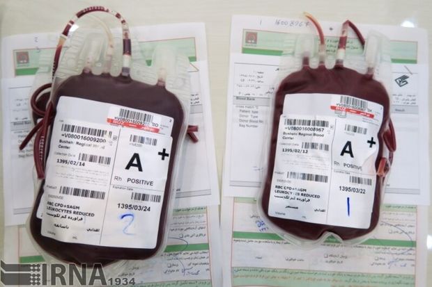 عزاداران خراسان جنوبی ۳۷۹ واحد خون اهدا کردند