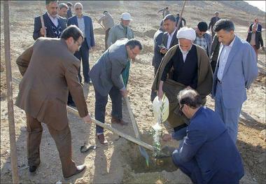 سرانه فضای سبز نجف آباد 11 مترمربع است