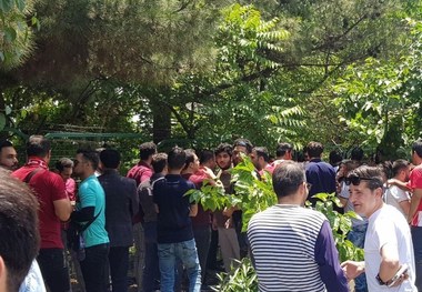 تجمع تعدادی از هواداران پرسپولیس مقابل وزارت ورزش
