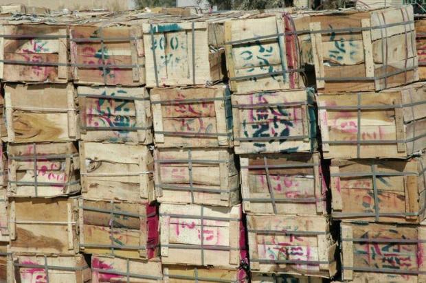 بیش از 10 تن انبه قاچاق در مرز جکیگور کشف شد