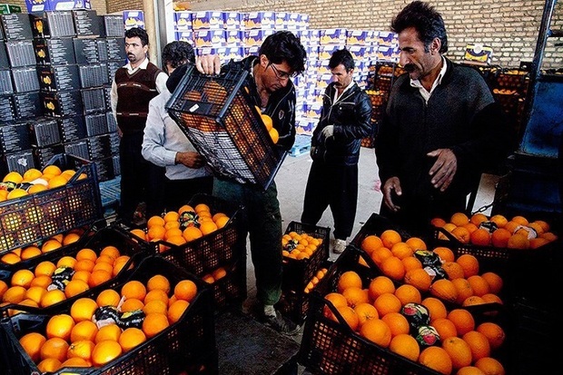 توزیع 37 تن میوه شب عید در مهاباد آغاز شد
