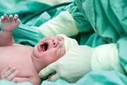 ۸۳ نوزاد از مادران مبتلا به کرونا در مشهد متولد شدند
