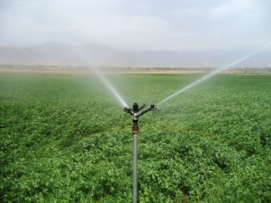 بهره برداری از 800 هکتار شبکه آبیاری بارانی در سلسله