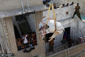 منتخب تصاویر امروز جهان- 21 تیر 1400