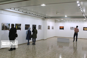 نمایشگاه آثار هنرمند کهگیلویه و بویراحمد در مجارستان دایر شد