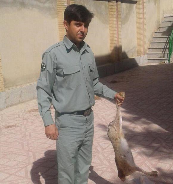 شکارچیان خرگوش در تویسرکان دستگیر شدند