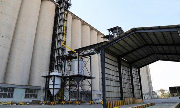 6 مرکز خرید گندم و کلزا در البرز تعیین شد