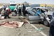 افزایش تلفات حوادث رانندگی در سال ۹۷  بیشترین تلفات در استان فارس  ضربه مغزی بالاترین علت مرگ  مردان بیشترین قربانیان جاده‌ها