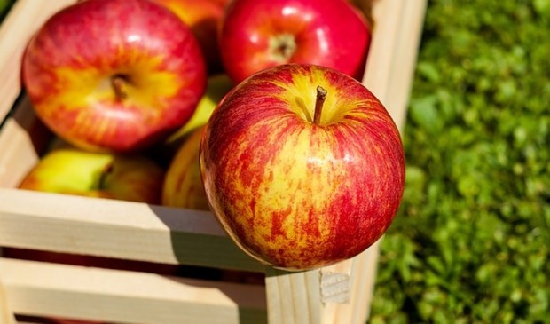 افزایش دو و نیم برابری صادرات سیب درختی از آذربایجان غربی