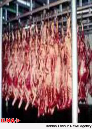 حمل بیش از 900 هزار کیلوگرم گوشت منجمد طی 6 ماه گذشته