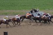 رقابت 53 راس اسب در هفته 31 مسابقات اسبدوانی گنبدکاووس