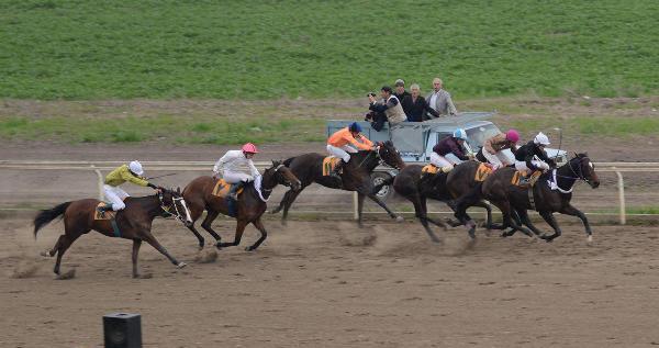 رقابت 53 راس اسب در هفته 31 مسابقات اسبدوانی گنبدکاووس