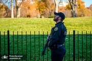  مظنونی که توسط نیروهای امنیتی در بیرون از کاخ سفید از پای انداخته شد
