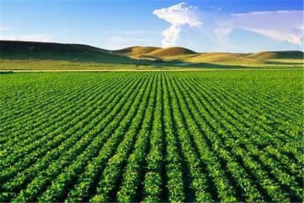 نظام صنفی کشاورزی ابهر رتبه اول کشوری جذب کشاورزان را دارد