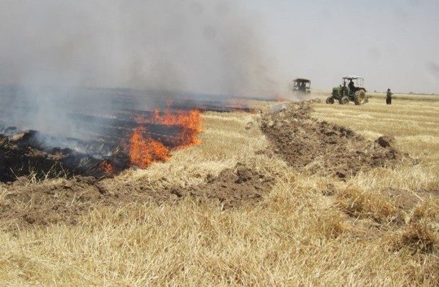 آتش نشانی ورامین نسبت به وقوع آتش سوزی در مزارع غلات هشدار داد