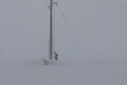  تلاش سیم‌بانان امور برق چادگان اصفهان در کولاک و سرمای زیر صفر درجه