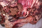 ۹۰تُن گوشت فاسد در تهران کشف شد