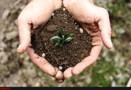 فرسایش سالانه 16 تن خاک در هکتار در مازندران