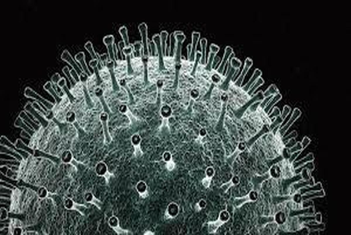 امیدی تازه در درمان ویروس کرونا
