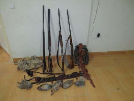 رئیس اداره حفاظت محیط زیست: پنج شکارچی متخلف در شاهین دژ دستگیر شدند