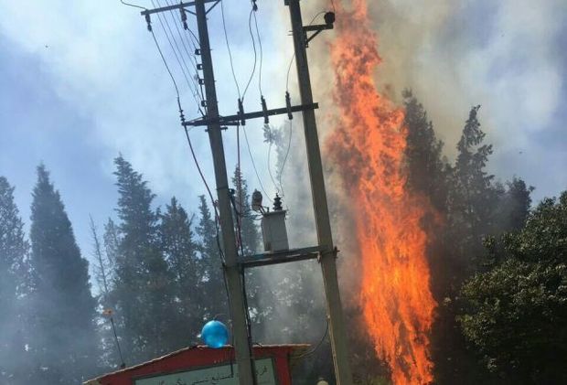 آتش سوزی بخشی از جنگل ناهارخوران گرگان مهار شد