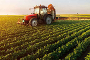 ۷۰ درصد رقبه های  البرز کاربری کشاورزی دارند