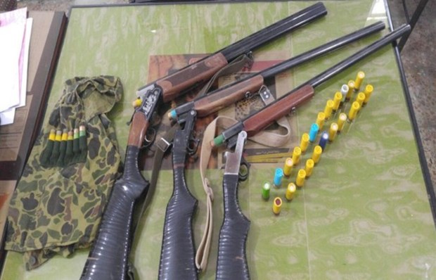 سه قبضه سلاح غیر مجاز توسط محیط بانان در آبیک کشف شد