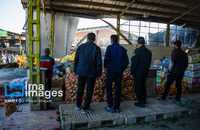 تصاویری از سقوط بالگرد ارتش در «درچه» اصفهان (10)