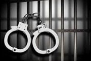دستگیری سارق خودرو در محدوده بزرگراه رسالت 