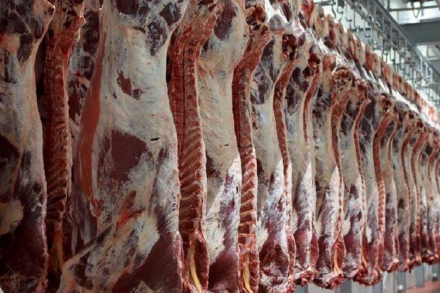 روزانه 150 تن گوشت گرم گوسفندی وارد کشور می شود