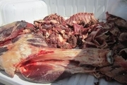 فروش گوشت غیر مجاز در یکی از قصابی های مشهد تکذیب شد