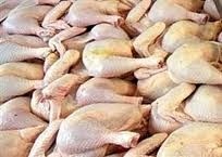 تولید 180 هزار تن گوشت مرغ در استان قزوین