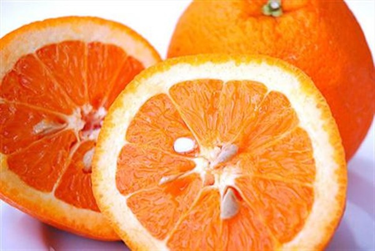 تهیه پروتئین از ضایعات هسته پرتقال
