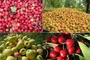 تولید 182 هزار تن محصولات باغی در چهارمحال و بختیاری