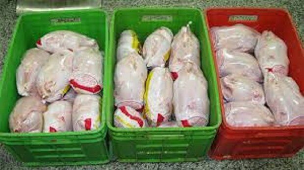 میزان تولید مرغ در ایلام ۲۵ درصد افزایش یافت