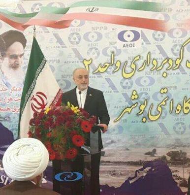 صالحی: نیروگاه های هسته ای بوشهر نماد همکاری راهبردی ایران و روسیه است