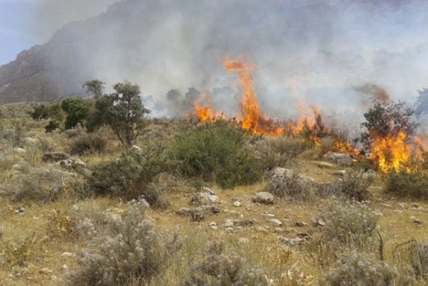 کاهش 92 درصدی آتش سوزی در مراتع البرز  افزایش چشمگیر رفع تصرف ها