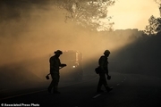 افزایش تلفات آتش‌سوزی‌ جنگل های کالیفرنیا