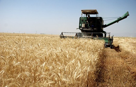 پرداخت بیش از 290 میلیارد تومان تسهیلات در بخش کشاورزی  در سال گذشته