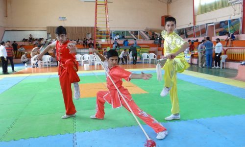 درخشش ووشوکاران خوزستانی در رقابت های قهرمانی کشور
