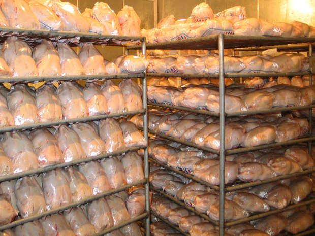 170 تن گوشت مرغ در چهارمحال و بختیاری ذخیره سازی شد