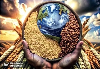 غذا برای صلح