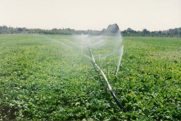 بیش از 4500هکتار زمین کشاورزی در نقده مجهز به آبیاری نوین شد