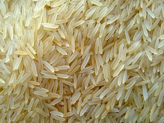 1769تن برنج برای تنظیم بازار در خوزستان اختصاص یافت