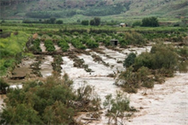 سیل افزون بر سه هزار میلیارد ریال به کشاورزی کرمان خسارت زد