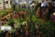بازار بین‌المللی گل و گیاه اصفهان سال آینده به بهره برداری می‌رسد
