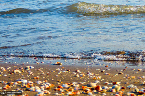 ساحل چمخاله