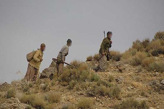 تیم شکارچیان حرفه ای کوه مند دستگیر شد