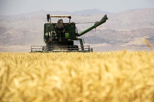 توسعه کشاورزی ایران فاصله زیادی با دنیا دارد