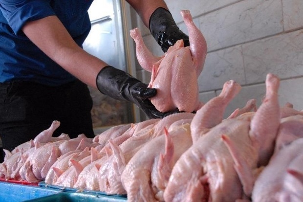 7.5 تن گوشت مرغ منجمد در مهاباد توزیع شد
